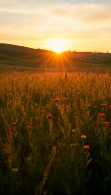 droit-rural-notaire-rouen__